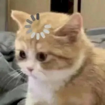 Meme mèo dễ thương #038 · biểu cảm chờ phản hồi
