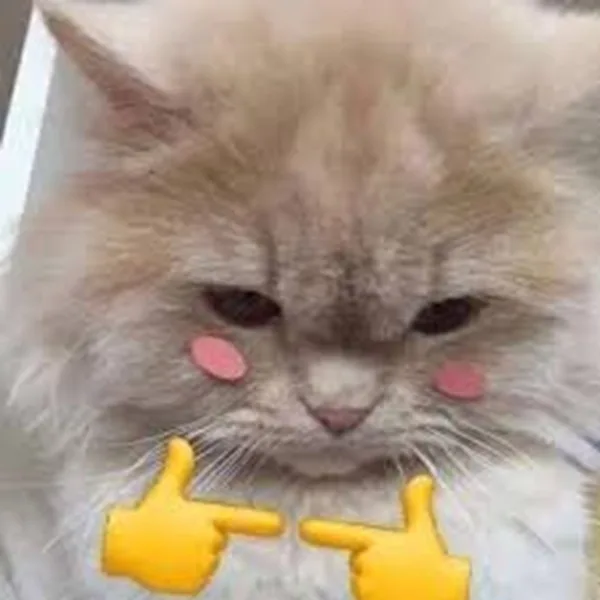 Meme mèo dễ thương — má hồng cute · 061.jpg