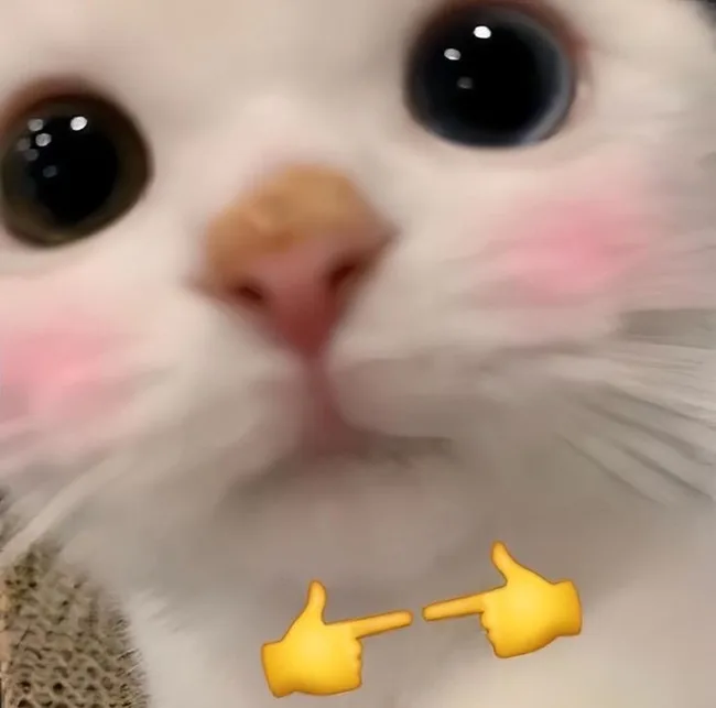 Meme mèo dễ thương — nụ cười mỉm · 069.jpg