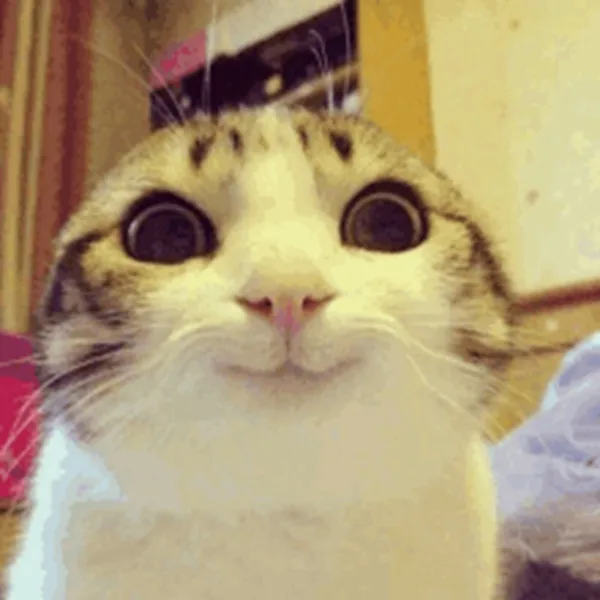 Meme reaction tếu #010 · reaction chat group