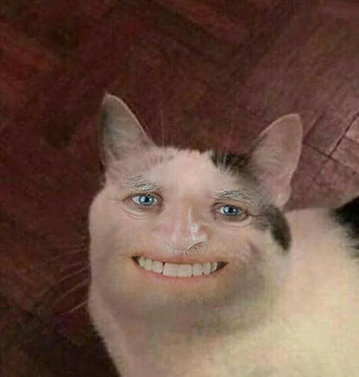 Meme reaction tếu — liếc ngang chuẩn