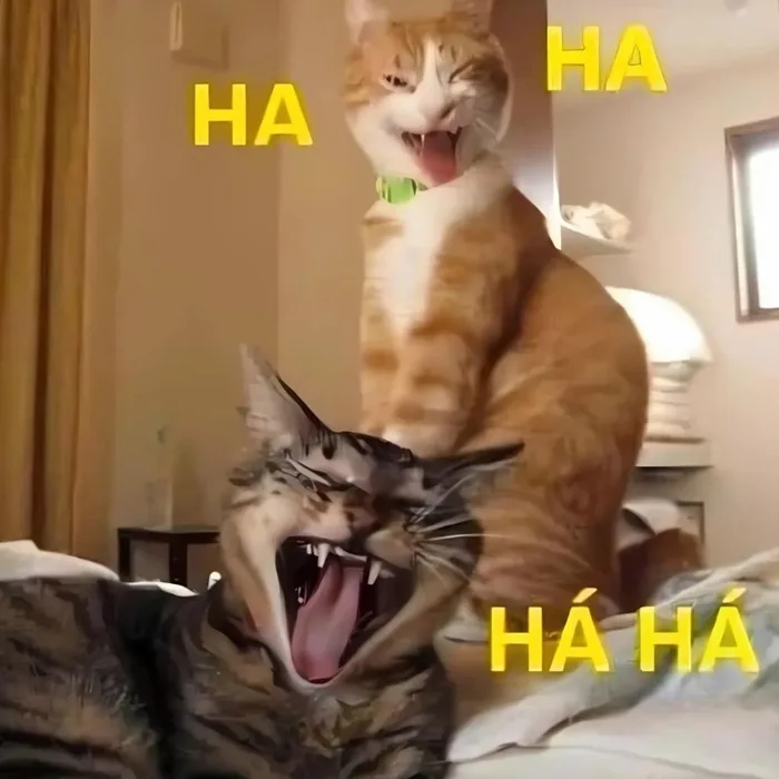 Meme reaction tếu: reaction đỉnh (020)