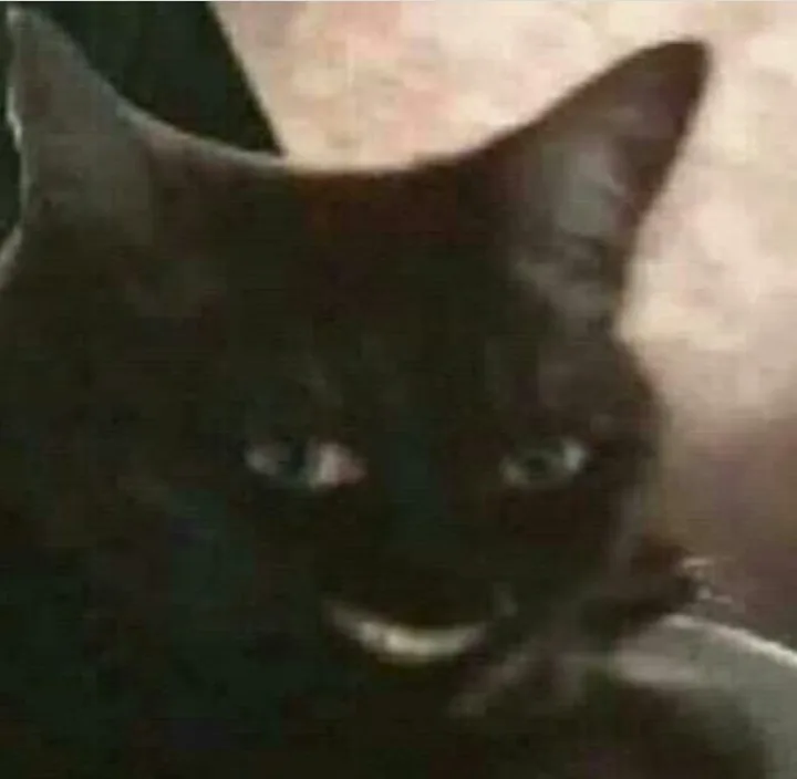 Meme reaction tếu — liếc mắt tếu · 021.jpeg