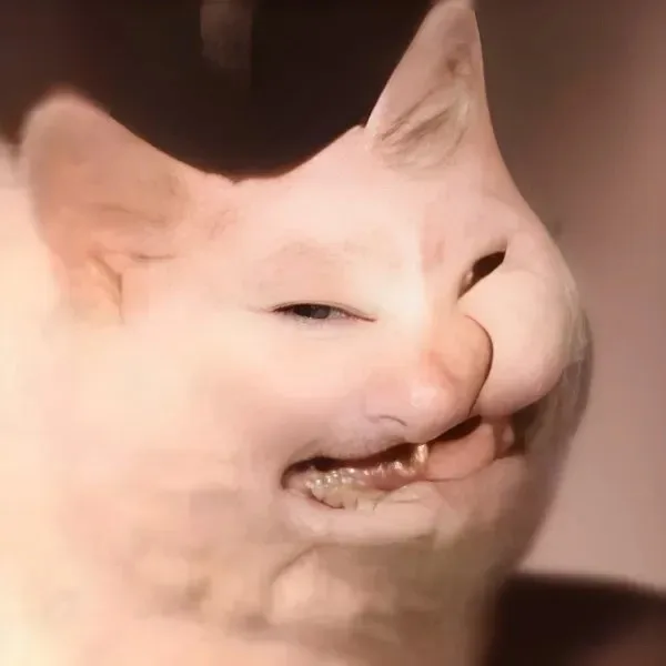 Meme reaction tếu #022 · cười đểu nhẹ