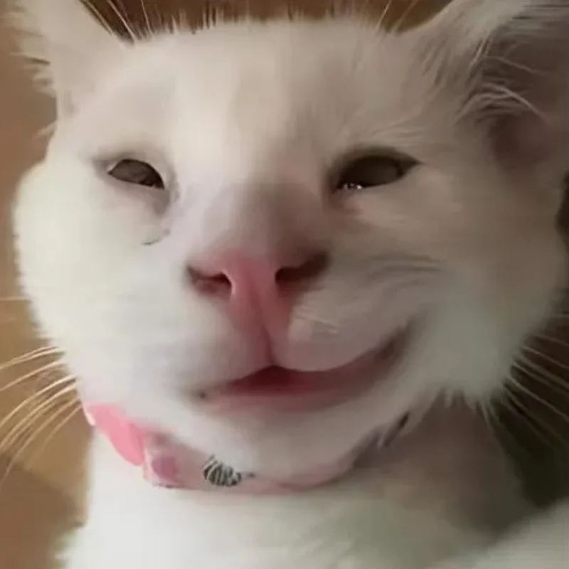 Vibe lầy lội · Meme reaction tếu 023