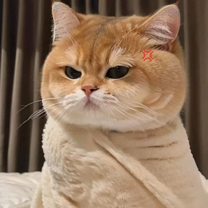 Meme reaction tếu — mặt tếu táo · 045.jpg