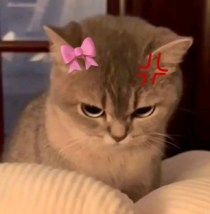 Meme reaction tếu #050 · reaction chat group