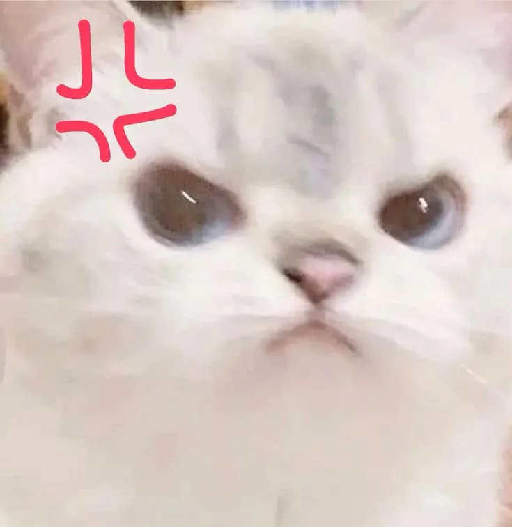 Meme reaction tếu: lầy nhưng cute (052)
