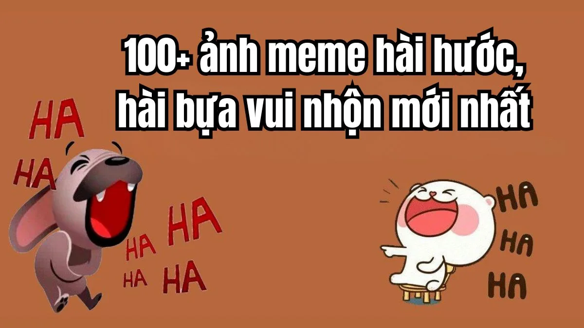 Meme hài thú cưng — reaction bất ngờ