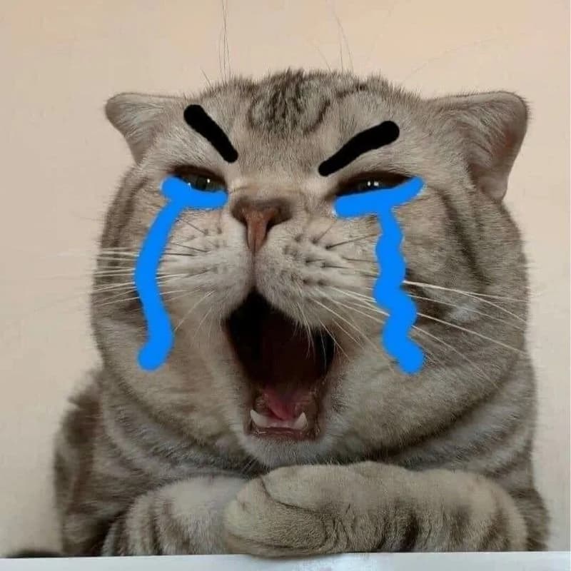 Meme hài thú cưng #010 · hài ấm áp