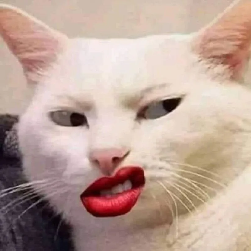 Meme hài thú cưng — reaction bất ngờ · 021.jpg