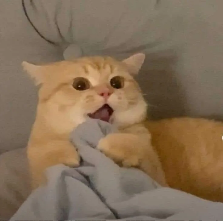 Meme hài thú cưng #034 · hài pet mix